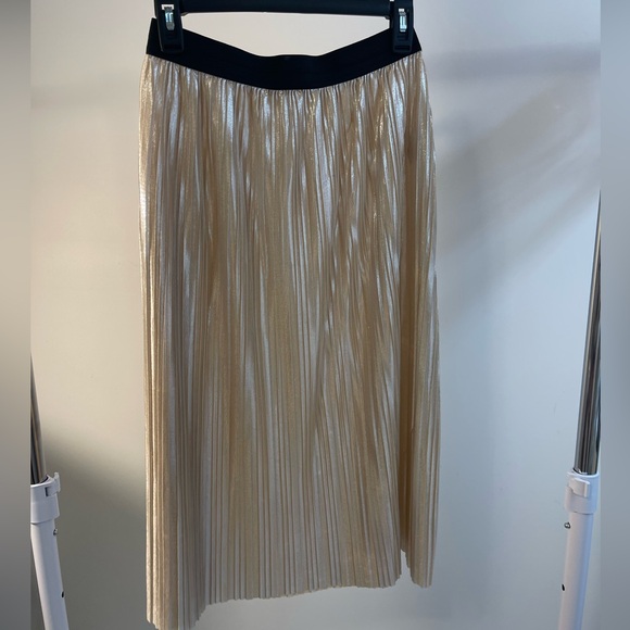 Shimmery Skirt - Picture 2 of 4